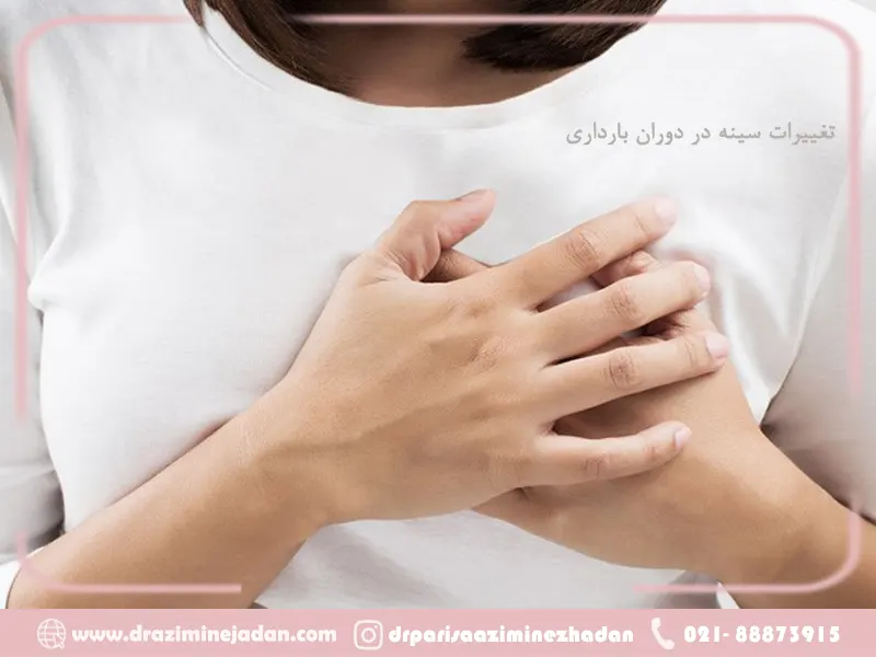 تغییرات سینه در دوران بارداری