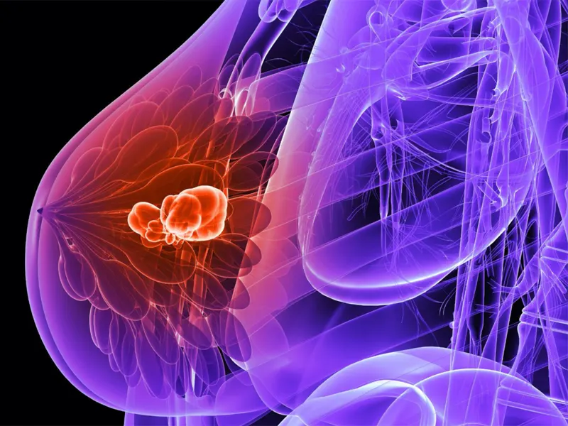 عملکرد هورمون درمانی