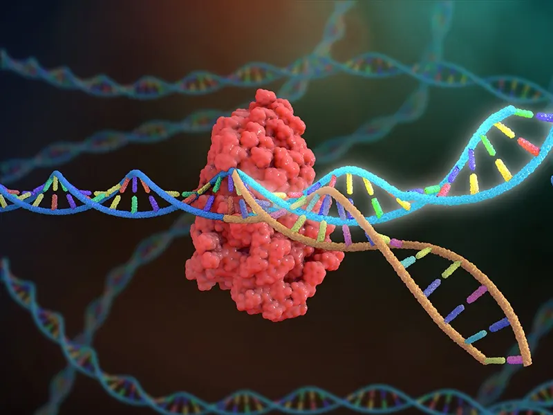 نقش ژن‌ها در ایجاد سرطان پستان